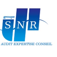SNR Audit logo - Similar company to Premaccess