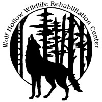 Wolf Hollow Wildlife Rehabilitation Center logo - Similar company to Dtaquarium