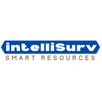 IntelliSurv Smart Resources LLC Dubai logo - Similar company to Smart Resources