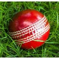 Solana Premier League logo - Similar company to Rezyst