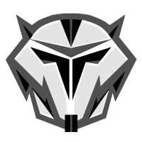 Wolffe Packke, LLC logo - Similar company to Rockfire Games