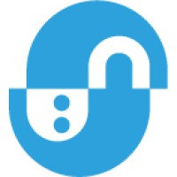 Bitnet Solutions Ltd logo - Similar company to Synium It