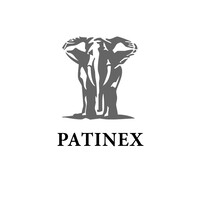 Patinex Management AG logo - Similar company to Bz Bank