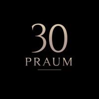 30PRAUM logo - Similar company to Vybbe