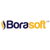 Borasoft Ltd logo - Similar company to Computer Pride Business Software Solutions
