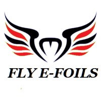 eFoil logo - Similar company to Global Evolve Holdings Llp