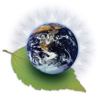 Vital Solutions, LLC (Florida) logo - Similar company to Prokure Solutions
