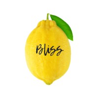 BlissApp.io logo - Similar company to Evenflow.Io