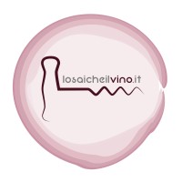 LSC GROUP SRLS logo - Similar company to Lsc Group Srl