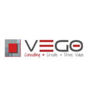 Vego Consulting and Training Company logo - Similar company to 5S Management Consulting