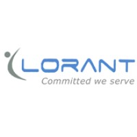 Lorant Consulting Services logo - Similar company to Techadvent Us