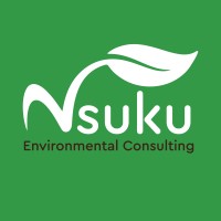 Nsuku Consulting logo - Similar company to Quality Performance Consultants