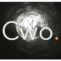Cwo. logo - Similar company to Arcnet