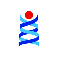 Paramount Solutions (Pvt) Ltd logo - Similar company to Networld Technologies