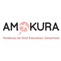 Amokura Iwi Consortium logo - Similar company to Fincap