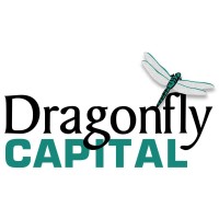 Dragonfly Capital Partners, LLC logo - Similar company to Bundy Group