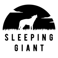 Sleeping Giant Marketing Services Private Limited logo - Similar company to Infridet Solutions Private Limited