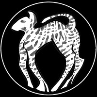 Serval Films logo - Similar company to 24Lsfilms