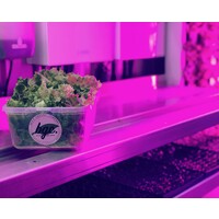 Bee'S Greens Company