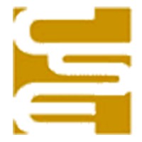 C.S.E. Componenti e Sistemi Elettronici logo - Similar company to First Components