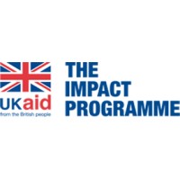 FCDO IMPACT Programme logo - Similar company to Joint Impact Model Foundation