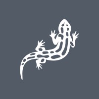 Salamander PVC México logo - Similar company to Veka México