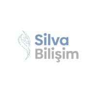 SİLVA BİLİŞİM logo - Similar company to Silva
