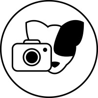 FotSom logo - Similar company to Misce