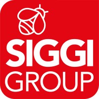SIGGI GROUP SPA logo - Similar company to Rossini