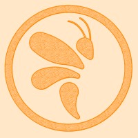 KnowBee logo - Similar company to Knowbee