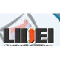 Lidei logo - Similar company to Paylana S.A.