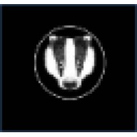 BadgerAnd logo - Similar company to Soul Survivor