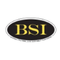 Business Solutions International logo - Similar company to Premier Systems, Inc.
