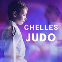 CHELLES JUDO logo - Similar company to Serem