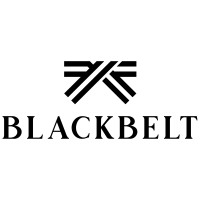 Blackbelt Marketing logo - Similar company to The Valhalla