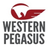 WESTERN PEGASUS LIMITED logo - Similar company to Nu-Edge Cutting Tools Ltd.