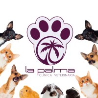 Clínica Veterinaria La Palma logo - Similar company to Westcare Hospital Veterinario