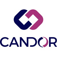 CANDOR Management Consulting logo - Similar company to Paragon Wealth