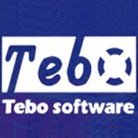 Tebo Software Inc. logo - Similar company to Vayo Technology
