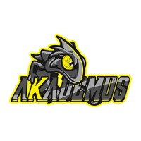 Akademus Esport logo - Similar company to Team Havok