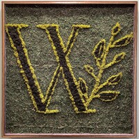 Wimberley Wellness logo - Similar company to Stride Forward Counseling Llc