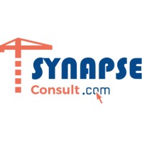 Synapse-consult logo - Similar company to Aos Saqara