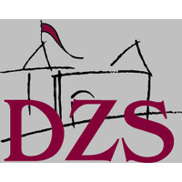 DZS logo - Similar company to Neo
