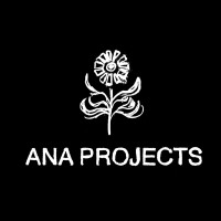 Ana Projects Limited logo - Similar company to Ana Projects