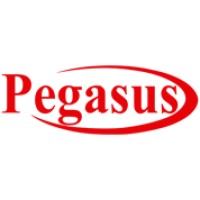 PEGASUS International Computer Co.- KUWAIT logo - Similar company to Walnut Software Solution