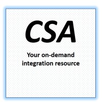Client Server Associates Inc.
