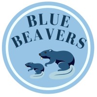 BlueBeavers.co logo - Similar company to Soe Lums