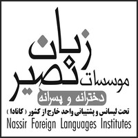 Nassir Foreign Languages Institutes (NFLI) logo - Similar company to Deepbeez