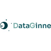 DataGinne logo - Similar company to Datagene Limited