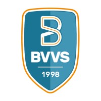 BVVS logo - Similar company to W
